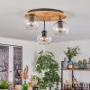 Koyoto lampa sufitowa, kula świetlna 40 cm kolory naturalne, czarny, 3-punktowe