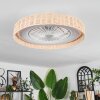 Benasal lampa sufitowa, wentylator sufitowy z oświetleniem kolory naturalne, biały, 1-punktowy, Zdalne sterowanie