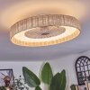 Benasal lampa sufitowa, wentylator sufitowy z oświetleniem kolory naturalne, biały, 1-punktowy, Zdalne sterowanie