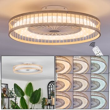 Benasal lampa sufitowa, wentylator sufitowy z oświetleniem kolory naturalne, biały, 1-punktowy, Zdalne sterowanie