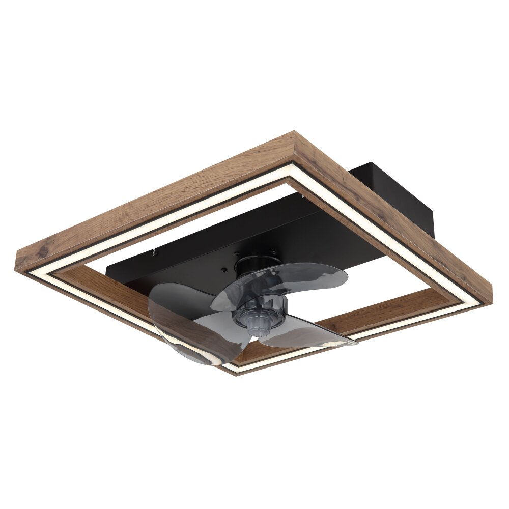 Oświetlenie Globo Celinata lampa z wentylatorem LED Czarny, 1-punktowy, Zdalne sterowanie main product photo