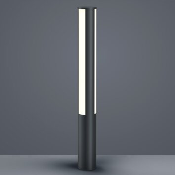 Helestra PIER słupki oświetleniowe LED Czarny, 3-punktowe