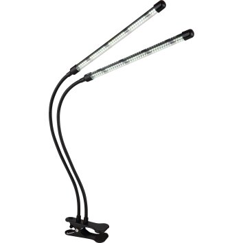 Oświetlenie Globo Treena lampa z klipsem LED czarny, 1-punktowy