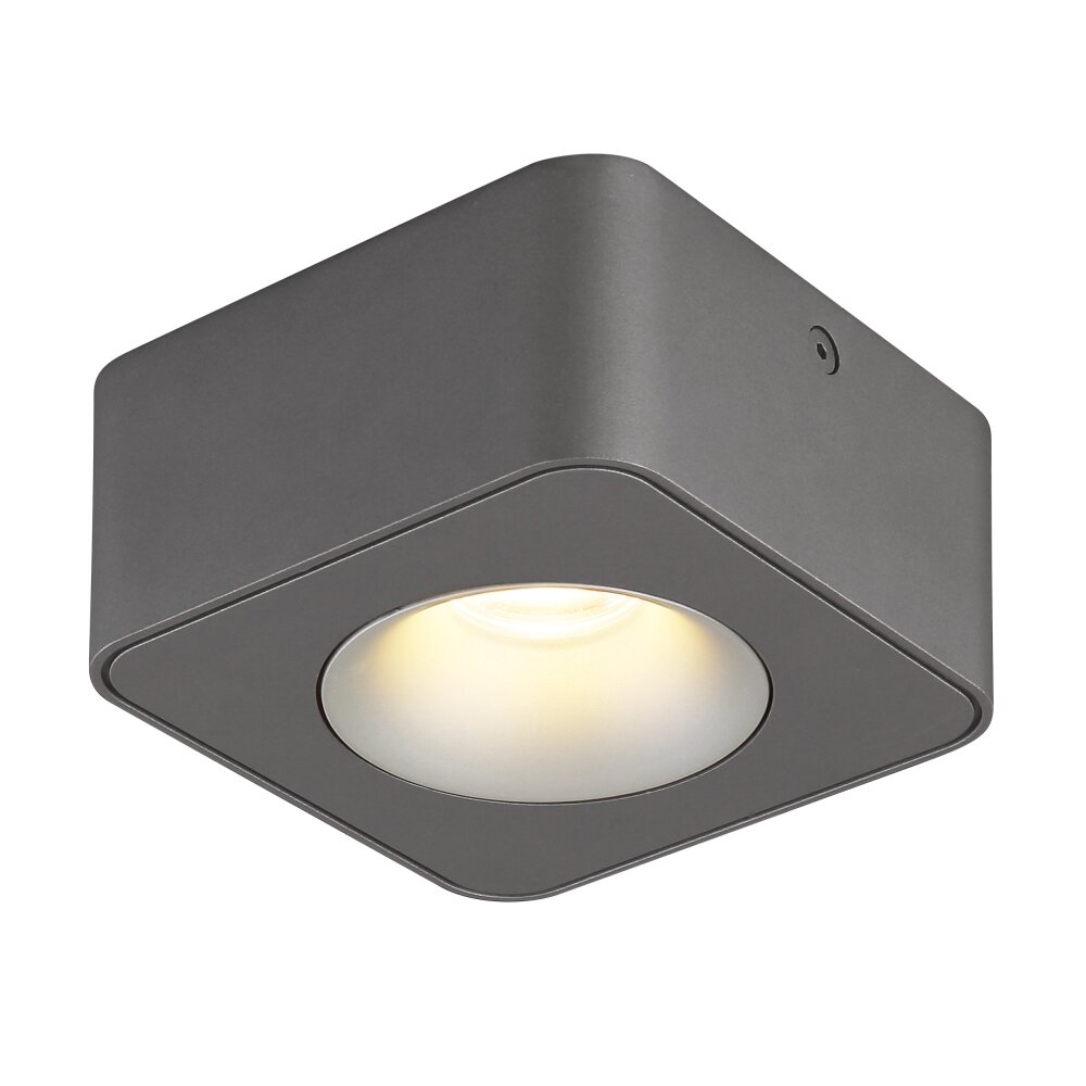 Oświetlenie Globo Hangarau Lampa sufitowa LED Szary, 1-punktowy main product photo