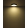 Oświetlenie Globo Suna Lampa sufitowa LED Czarny, 1-punktowy, Zdalne sterowanie