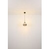 Oświetlenie Globo Firefly Lampa wisząca LED Czarny, 1-punktowy