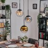 Gastor lampa wisząca, kula świetlna bursztynowy, złoty, przezroczysty, przydymiony, 3-punktowe