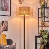 Cavaca Lampa stojąca Ecru, Czarny, 1-punktowy