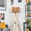 Cando lampa stojąca kolory naturalne, 1-punktowy