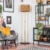 Cando lampa stojąca kolory naturalne, czarny, 1-punktowy