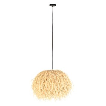 Oświetlenie Steinhauer Grass Lampa wisząca Czarny, 1-punktowy