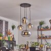 Apedo Lampa wisząca, Kula świetlna, Lampa wisząca Przezroczysty, Przydymiony, 4-punktowe