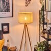 Sabadim lampa stojąca kolory naturalne, czarny, 1-punktowy
