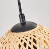 Basto lampa wisząca, kula świetlna, lampa wisząca kolory naturalne, czarny, 4-punktowe