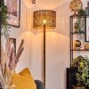 Cando lampa stojąca kolory naturalne, czarny, 1-punktowy