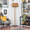 Cando lampa stojąca kolory naturalne, czarny, 1-punktowy