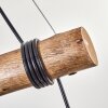Koyoto lampa wisząca, kula świetlna, lampa wisząca kolory naturalne, czarny, 4-punktowe