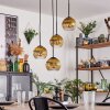 Koyoto Lampa wisząca, Kula świetlna, Lampa wisząca 35 cm Złoty, Przezroczysty, 4-punktowe