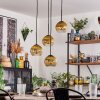 Koyoto Lampa wisząca, Kula świetlna, Lampa wisząca 35 cm Złoty, Przezroczysty, 4-punktowe