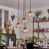 Koyoto Lampa wisząca, Kula świetlna, Lampa wisząca Przezroczysty, Przydymiony, 4-punktowe