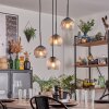 Koyoto lampa wisząca, kula świetlna, lampa wisząca bursztynowy, przezroczysty, przydymiony, 4-punktowe