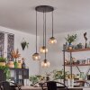 Koyoto lampa wisząca, kula świetlna, lampa wisząca bursztynowy, przezroczysty, przydymiony, 4-punktowe