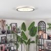 Simonstorp Lampa sufitowa, Panel LED Srebrny, Biały, 1-punktowy