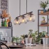 Koyoto Lampa wisząca, Kula świetlna, Lampa wisząca Przezroczysty, 3-punktowe