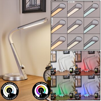 Tykby lampka biurkowa, lampa stołowa, lampka do czytania LED srebrny, biały, 1-punktowy, Zmieniacz kolorów