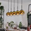 Gastor Lampa wisząca, Kula świetlna, Lampa wisząca Złoty, Przezroczysty, 5-punktowe