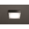 Oświetlenie LCD Jachenau Lampa sufitowa, Lampa ścienna LED Antracytowy, 1-punktowy