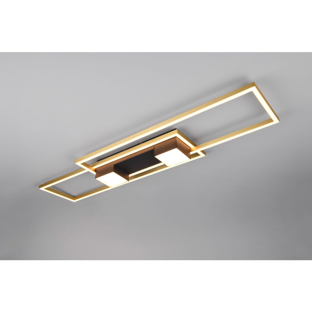 Oświetlenie Trio ALBANY Lampa sufitowa LED Czarno-złoty, 1-punktowy, Zdalne sterowanie main product photo