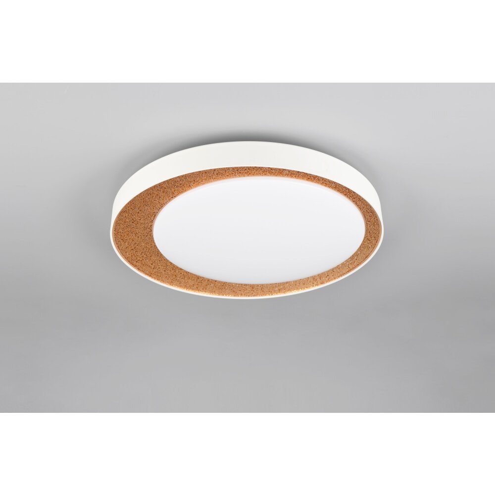 Oświetlenie Reality Aleta Lampa sufitowa LED Złoty, 1-punktowy, Zdalne sterowanie main product photo