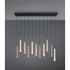 Oświetlenie Trio Fiato Lampa wisząca LED Czarny, 11-punktowe