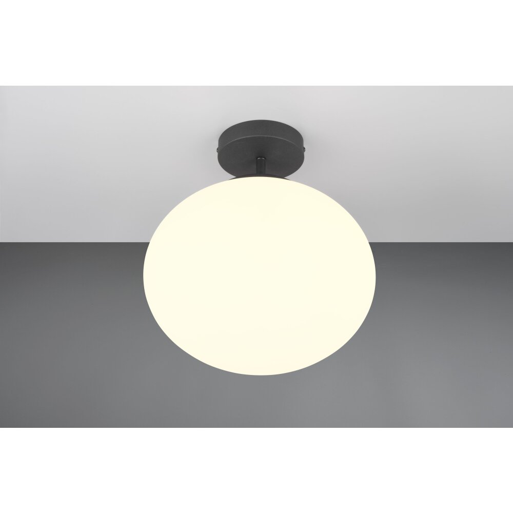 Oświetlenie Trio Fomento Lampa sufitowa Czarny, 1-punktowy main product photo