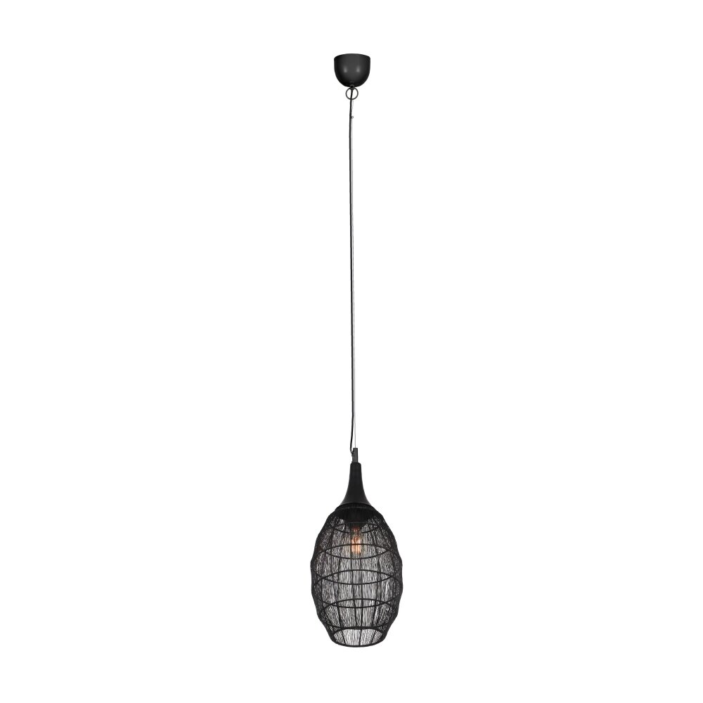 Oświetlenie Trio SORAYA Lampa wisząca Czarny, 1-punktowy main product photo