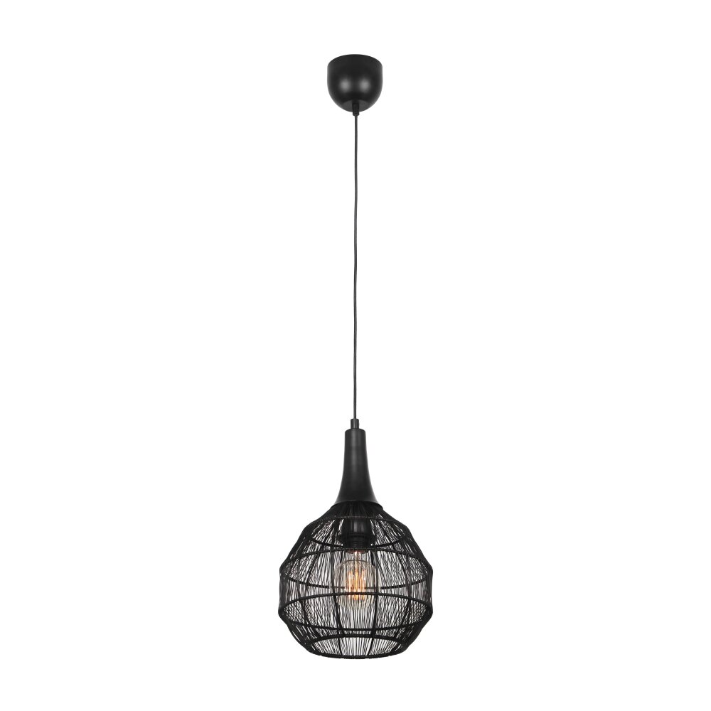 Oświetlenie Trio SORAYA Lampa wisząca Czarny, 1-punktowy main product photo
