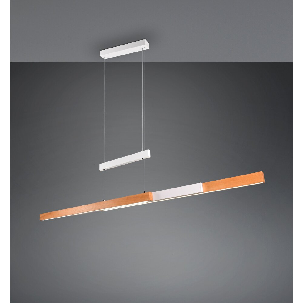 Oświetlenie Trio Trajan Lampa wisząca LED Biały, 1-punktowy main product photo