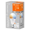 Oświetlenie Ledvance B22d 9 Watt przyciemnione 806 Lumen