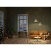 Oświetlenie Ledvance DECOR lampa ścienno-sufitowa szary, wygląd drewna, 1-punktowy
