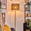 Cando lampa stojąca kolory naturalne, 1-punktowy