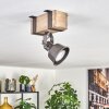 Pehefito lampa sufitowa, spot sufitowy szary, kolory naturalne, 1-punktowy