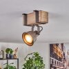 Pehefito lampa sufitowa, spot sufitowy szary, kolory naturalne, 1-punktowy