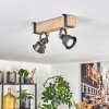 Pehefito lampa sufitowa, spot sufitowy szary, kolory naturalne, 2-punktowe