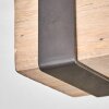 Pehefito lampa sufitowa, spot sufitowy szary, kolory naturalne, 2-punktowe