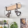 Pehefito lampa sufitowa, spot sufitowy szary, kolory naturalne, 2-punktowe