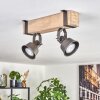 Pehefito lampa sufitowa, spot sufitowy szary, kolory naturalne, 2-punktowe