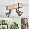Pehefito lampa sufitowa, spot sufitowy szary, kolory naturalne, 2-punktowe