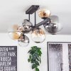 Chehalis lampa sufitowa, kula świetlna bursztynowy, przezroczysty, przydymiony, 8-punktowe