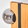 Chehalis kula świetlna, lampa stojąca kolory naturalne, czarny, 6-punktowe